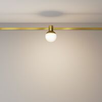 Трековый светильник Luna Flarity 3000K 5Вт 120° / Maytoni TR149-1-5W3K-BS