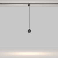 Трековый светильник Sfera Elasity 3000K 8Вт 36° / Maytoni TR165-1-8W3K-M-B