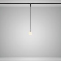 Трековый подвесной светильник Luna Basity 5Вт 360° / Maytoni TR178-1-5WTW-B