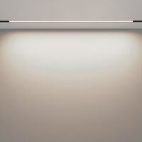 Трековый светильник Basis Exility 4000K 30Вт 120° / Maytoni TR030-2-30W4K-B