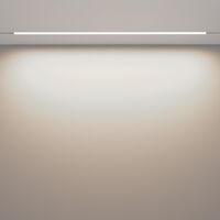 Трековый светильник Basis Exility 2700-6000K 30Вт 120° Dim Dali1 / Maytoni TR030-4-30WTW-DD-W
