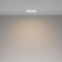 Трековый светильник Basis Exility 3000K 12Вт 120° / Maytoni TR036-2-12W3K-W