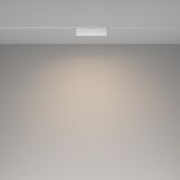 Трековый светильник Basis Exility 4000K 12Вт 120° / Maytoni TR036-2-12W4K-W