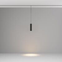 Трековый подвесной светильник Focus Led Exility 3000K 12Вт 36° / Maytoni TR041-2-12W3K-B