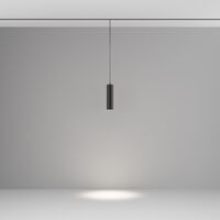 Трековый подвесной светильник Focus Led Exility 2700-6000K 12Вт 36° Dim Smart / Maytoni TR041-4-12W3K-M-DS-B