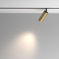 Трековый светильник Artisan Exility 4000K 12Вт 36° / Maytoni TR097-2-12W4K-M-BMG
