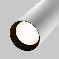 Трековый светильник Focus Led Exility 4000K 20Вт 24° / Maytoni TR032-2-20W4K-S-W