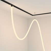 Трековый подвесной светильник Tau Exility 3000K 100Вт 360° / Maytoni TR101-2-100W3K-B