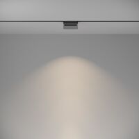 Трековый светильник Basis Gravity 4000K 10Вт 120° / Maytoni TR075-2-10W4K-B