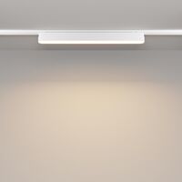 Трековый светильник Basis Radity 3000K 18Вт 120° / Maytoni TR080-1-18W3K-W