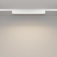 Трековый светильник Basis Radity 4000K 18Вт 120° / Maytoni TR080-1-18W4K-W