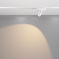 Трековый светильник Focus Led Radity 3000K 5Вт 36° / Maytoni TR103-1-5W3K-M-W
