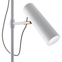 Напольный светильник (торшер) Maytoni Bansky MOD129FL-01W