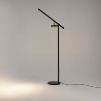 Напольный светильник (торшер) Maytoni Empathy MOD363FL-L14B3K