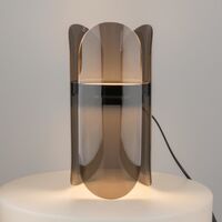 Настольный светильник Maytoni Insight MOD416TL-L6BR3K
