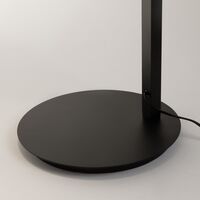 Напольный светильник (торшер) Maytoni Empathy MOD363FL-L14B3K