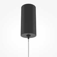 Подвесной светильник Maytoni Pro Shade MOD157PL-L6BK