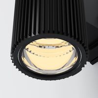 Настенный светильник (бра) Maytoni Rando O419WL-02B