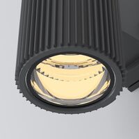 Настенный светильник (бра) Maytoni Rando O419WL-02GR