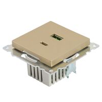 Розетка USB тип A+C Катрин (золото) / Stekker GLS10-7116-08