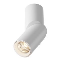 Потолочный светильник Dafne 3000K 1x10Вт 38° / Maytoni C027CL-L10W