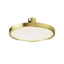 Трековый светильник Plato Flarity 3000K 10Вт 120° / Maytoni TR153-1-10W3K-BS