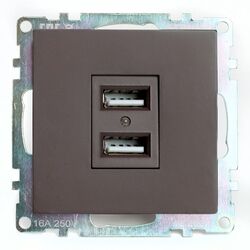 Розетка USB тип A Катрин (шоколад) / Stekker GLS10-7115-04