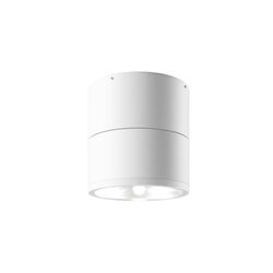 Потолочный светильник Maytoni Spin O310CL-L12W3K