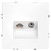 Розетка телевизионная TV+RJ45 кат. 6 S70 (белый матовый) / Voltum VLS060702