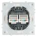 Розетка компьютерная RJ-45 двойная Эмили (белый фарфор) / Stekker RST00-5111-01