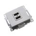 Розетка USB тип A Катрин (серебро) / Stekker GLS10-7115-03