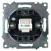 Розетка компьютерная RJ-45 Катрин (черный)  / Stekker GLS00-7107-05