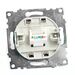 Розетка компьютерная RJ-45 Катрин (шоколад) / Stekker GLS00-7107-04