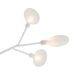 Потолочный светильник Freya Florencia FR5049CL-36W1