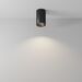 Потолочный светильник Zoom GU10 1x10Вт IP 65 / Maytoni C029CL-01-S-B