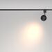 Трековый светильник Sfera Elasity 3000K 8Вт 36° / Maytoni TR164-1-8W3K-M-B