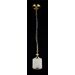 Подвесной светильник Maytoni Sherborn RC016-PL-01-G
