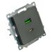 Розетка USB тип A+C Катрин (графит) / Stekker GLS10-7116-06