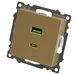 Розетка USB тип A+C Катрин (золото) / Stekker GLS10-7116-08